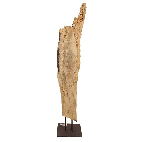 AquaOne Holz Deko Skulptur Rom I Treibholz Naturholz Rustikal Mangrovenwurzel I Möbel Dekoration Natur Tischdeko I Handarbeit Teak Wurzel Unikat Modern