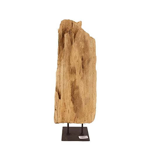 AquaOne Holz Deko Skulptur Oslo I Treibholz Naturholz Rustikal Mangrovenwurzel I Möbel Dekoration Natur Tischdeko I Handarbeit Teak Wurzel Unikat Modern