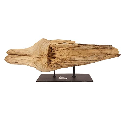 AquaOne Holz Deko Skulptur Oslo I Treibholz Naturholz Rustikal Mangrovenwurzel I Möbel Dekoration Natur Tischdeko I Handarbeit Teak Wurzel Unikat Modern