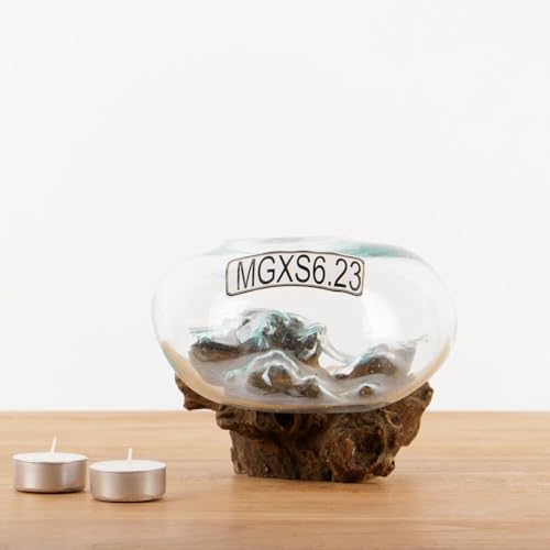 wohnfreuden Vase auf Wurzel Teakholz Glasvase Gr XS 15-25 cm Teakholzwurzel