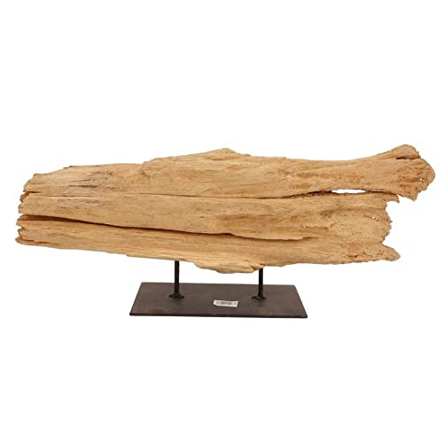 AquaOne Holz Deko Skulptur Rom I Treibholz Naturholz Rustikal Mangrovenwurzel I Möbel Dekoration Natur Tischdeko I Handarbeit Teak Wurzel Unikat Modern