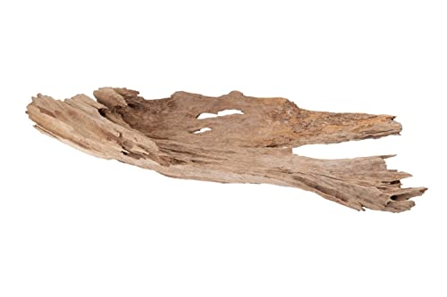 NaDeco Teak-Deko-Wurzel, groß, Maße ca. 60-100 x 30-50 cm Großes Wurzelholz Große Dekowurzel Naturwurzel Mangroven-Wurzel Treibholz-Wurzel Teak-Wurzelholz Teakholz-Wurzel Deko-Wurzel