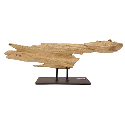 AquaOne Holz Deko Skulptur Oslo I Treibholz Naturholz Rustikal Mangrovenwurzel I Möbel Dekoration Natur Tischdeko I Handarbeit Teak Wurzel Unikat Modern