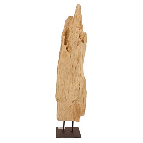 AquaOne Holz Deko Skulptur Rom I Treibholz Naturholz Rustikal Mangrovenwurzel I Möbel Dekoration Natur Tischdeko I Handarbeit Teak Wurzel Unikat Modern