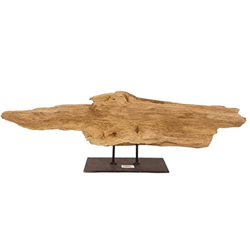 AquaOne Holz Deko Skulptur Rom I Treibholz Naturholz Rustikal Mangrovenwurzel I Möbel Dekoration Natur Tischdeko I Handarbeit Teak Wurzel Unikat Modern