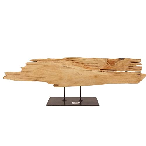 AquaOne Holz Deko Skulptur Rom I Treibholz Naturholz Rustikal Mangrovenwurzel I Möbel Dekoration Natur Tischdeko I Handarbeit Teak Wurzel Unikat Modern