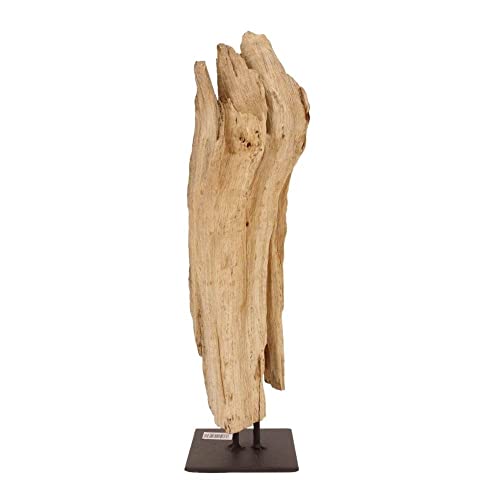 AquaOne Holz Deko Skulptur Oslo I Treibholz Naturholz Rustikal Mangrovenwurzel I Möbel Dekoration Natur Tischdeko I Handarbeit Teak Wurzel Unikat Modern