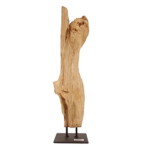 AquaOne Holz Deko Skulptur Oslo I Treibholz Naturholz Rustikal Mangrovenwurzel I Möbel Dekoration Natur Tischdeko I Handarbeit Teak Wurzel Unikat Modern