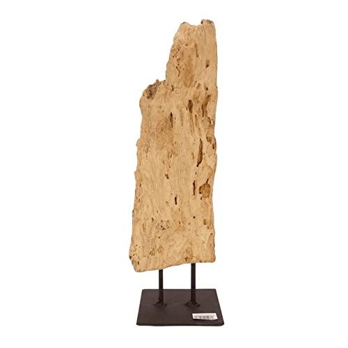 AquaOne Holz Deko Skulptur Oslo I Treibholz Naturholz Rustikal Mangrovenwurzel I Möbel Dekoration Natur Tischdeko I Handarbeit Teak Wurzel Unikat Modern