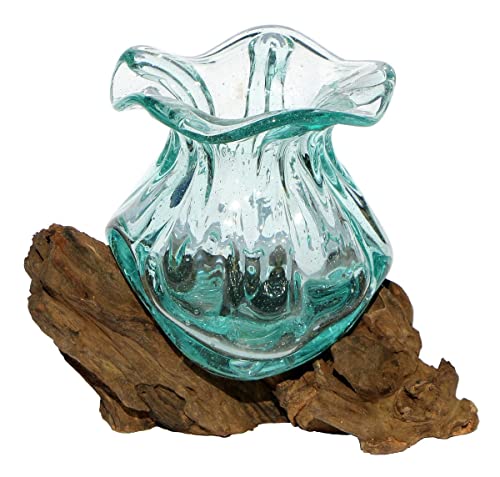 Geschenk-Idee Dekoration Wohnung Gamal Wurzel-Holz Glas-Vase Teakholz Handarbeit Vase Ø Glas 10-11 cm Pott XS