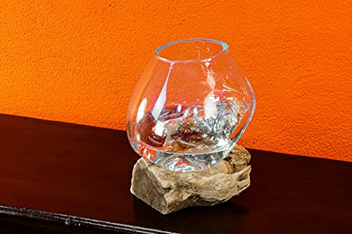 Geschmolzenes Glas auf Wurzelholz - Glasschale auf Wurzel - Teak Holz mit Glasvase oder Schale (Glas 12-15x12-15x12-15cm)