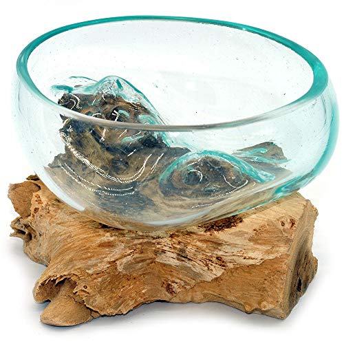 Wurzel mit Glasschale klein Schale Dekoschale Glas auf Holz Durchmesser 12-13 cm Holzdeko Teakholz Deko (Wurzel 13-15 cm)