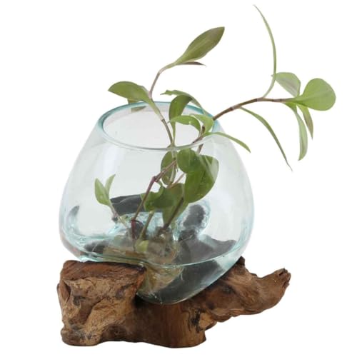 Glasvase auf Wurzelholz Ø 15cm x Höhe 20cm aus Recycling Glas & Teak Wurzel Holz handgefertigt | extravagante Wohndeko Deko-Vase Glasschale Natur-Vase | A15