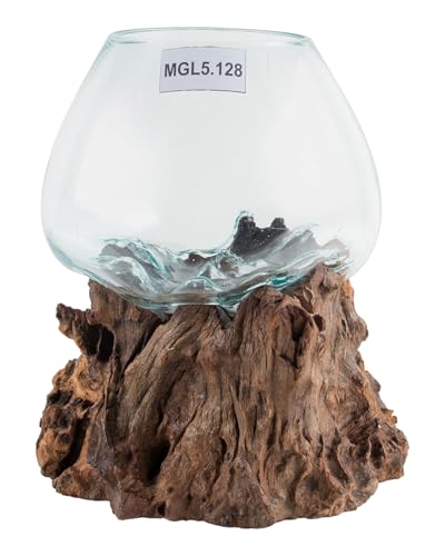 wohnfreuden Teak Wurzel mit Glas Gr. L ca. 30-40 cm Teak Holz Wurzel Vase