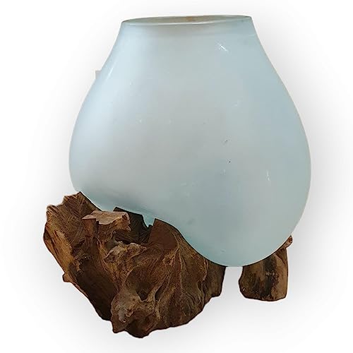 Geschmolzenes milchiges Glas auf Wurzelholz - Glasschale auf Wurzel - Teak Holz mit Glasvase oder Schale als Terrarium