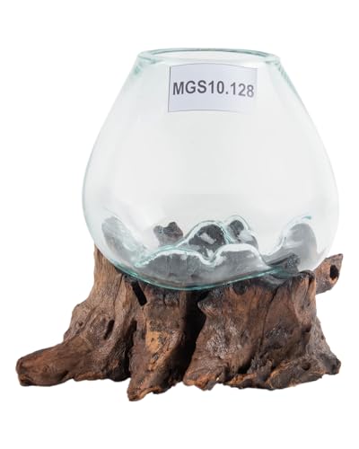 wohnfreuden Teakholz Deko Wurzel mit Glas Vase Gr. S 20-30 cm Teakwurzel