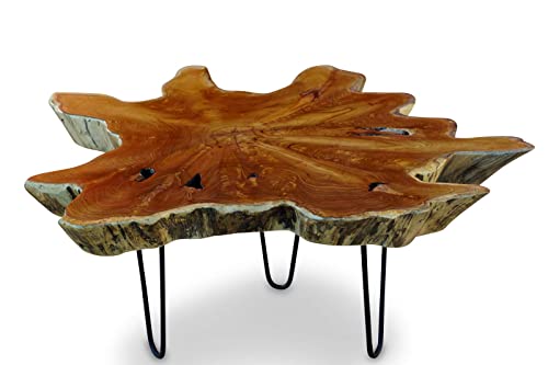 Teak Couchtisch LUHU - ca. 70-80cm Tischplatte aus massiver Wurzelholz Baumscheibe im rustikalen Landhausstil, geeignet für Wohnzimmer, Wintergarten oder als Kaffeetisch Natur