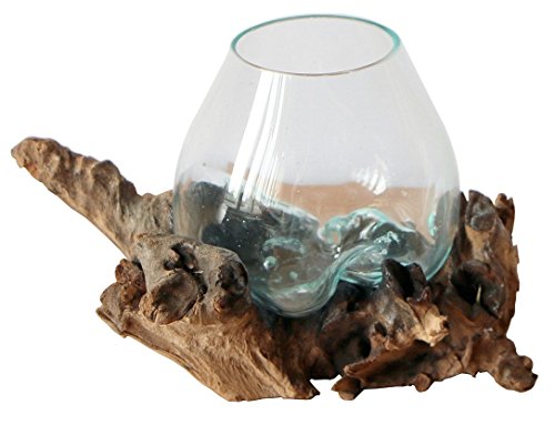 Geschenk-Idee für Weihnachten Geburtstag als Deko - Glas-Vase Ø Glas 12-13 cm - aus Gamal Wurzel-Holz Teakholz Glas S