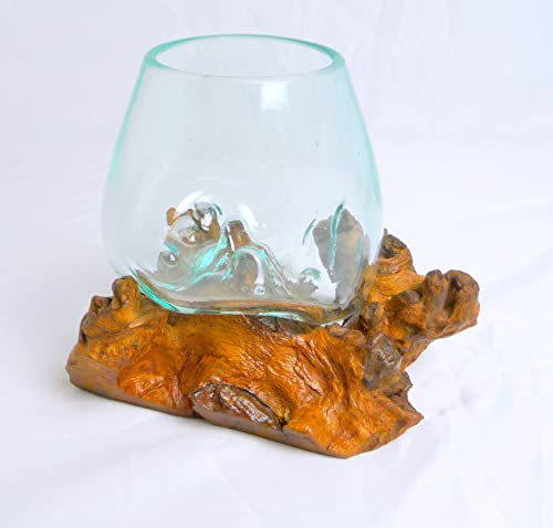 Asia Design Gamal Wurzelholz Glasvase Ø Glas 10-12 cm Teakholz Vase Glas (12cm) #01