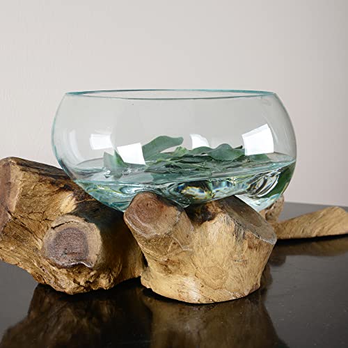 wohnfreuden Teakholz Wurzel mit Glas-Vase 25-35 cm - Holzwurzel mit Glas Wohnzimmer Dekoration