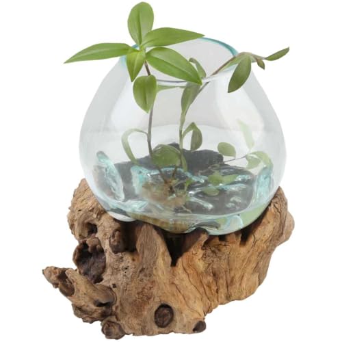 Glasvase auf Wurzelholz Ø 20cm x Höhe 27cm Recycling Glas & Teak Wurzel Holz handgefertigt extravagante Wohndeko Deko-Vase Glasschale Natur-Vase A20 Geschenk-Idee