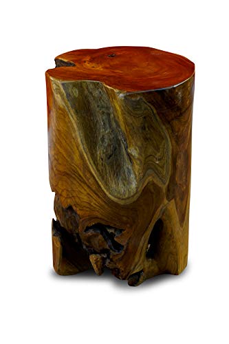 Wurzelholz Beistelltisch TOBELO - 40 cm Teakholz Tisch - Blumenhocker - Pfanzständer für Wohnzimmer Wintergarten oder Terrasse und Garten