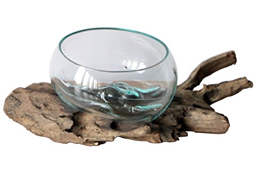 Geschenk Deko Gamal Wurzelholz Glas Ø 16-18 cm Wurzel Holz Teakholz Vase Schale M