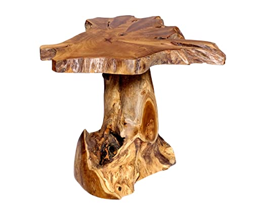 Brillibrum Design Teakholz Baumstamm Hocker Wurzeltisch massiv Teakholzhocker Wurzelholz Teak Couchtisch Holz für den Innen & Außenbereich massivholz Beistelltisch 45cm Höhe (Ø 38-45 cm)