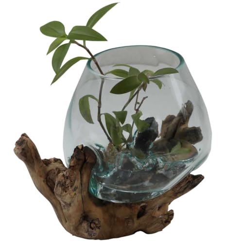 Glasvase auf Wurzelholz Ø 18cm x Höhe 24cm aus Recycling Glas & Teak Wurzel Holz handgefertigt | extravagante Wohndeko Deko-Vase Glasschale Natur-Vase | A18