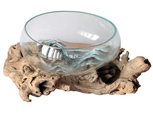 Wogeka - Handgefertigte Deko Glasschale - Unikat Vase auf Wurzelholz - mundgeblasenes Gestaltungselement aus Teakholz - Naturdesign für Tischdeko, Wohnzimmer, Balkon & Terrasse - Ø 18-20 cm Schale L