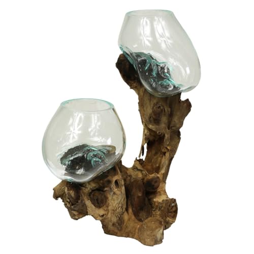 Vase Wurzelglas Glasvase Glas Deko Unikat Wurzelholz Teakholz Bali Krug Kübel Kanne Dekoglas Doppelt Nr.8