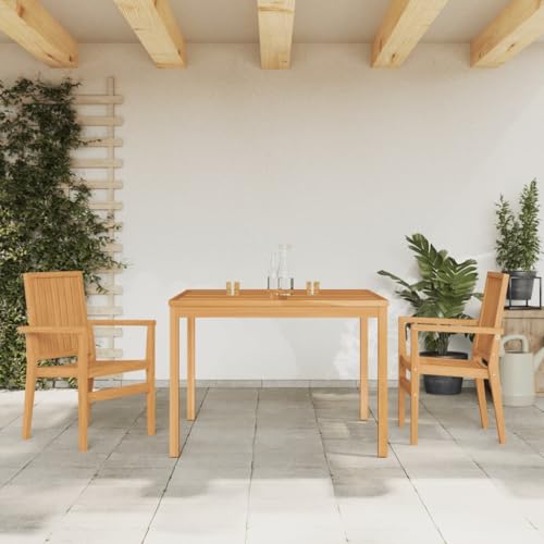Holzgarten Esstisch und Stühle Set wetterfestes Außenterrasse Oval Massivmöbel 3 Stück Garten Essseet Massivholz Teaks Teaks