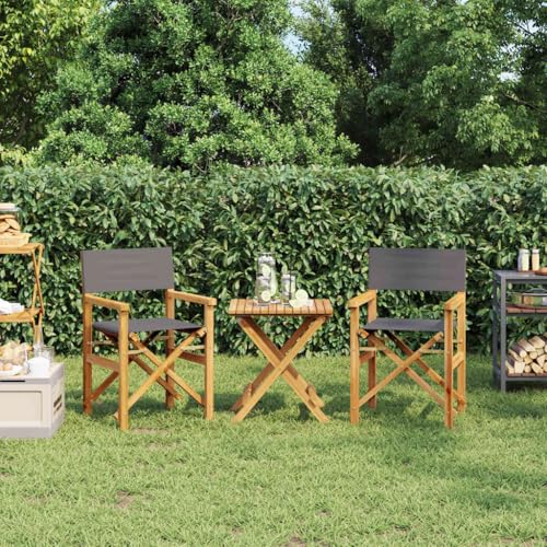 Gecheer Regiestühle 2 STK. Klappbar Grau Massivholz Teak, klappbarer Regiestuhl, Camping-Regiestuhl, Klappstuhl, Outdoor-Regiestuhl, Garten-Regiestuhl